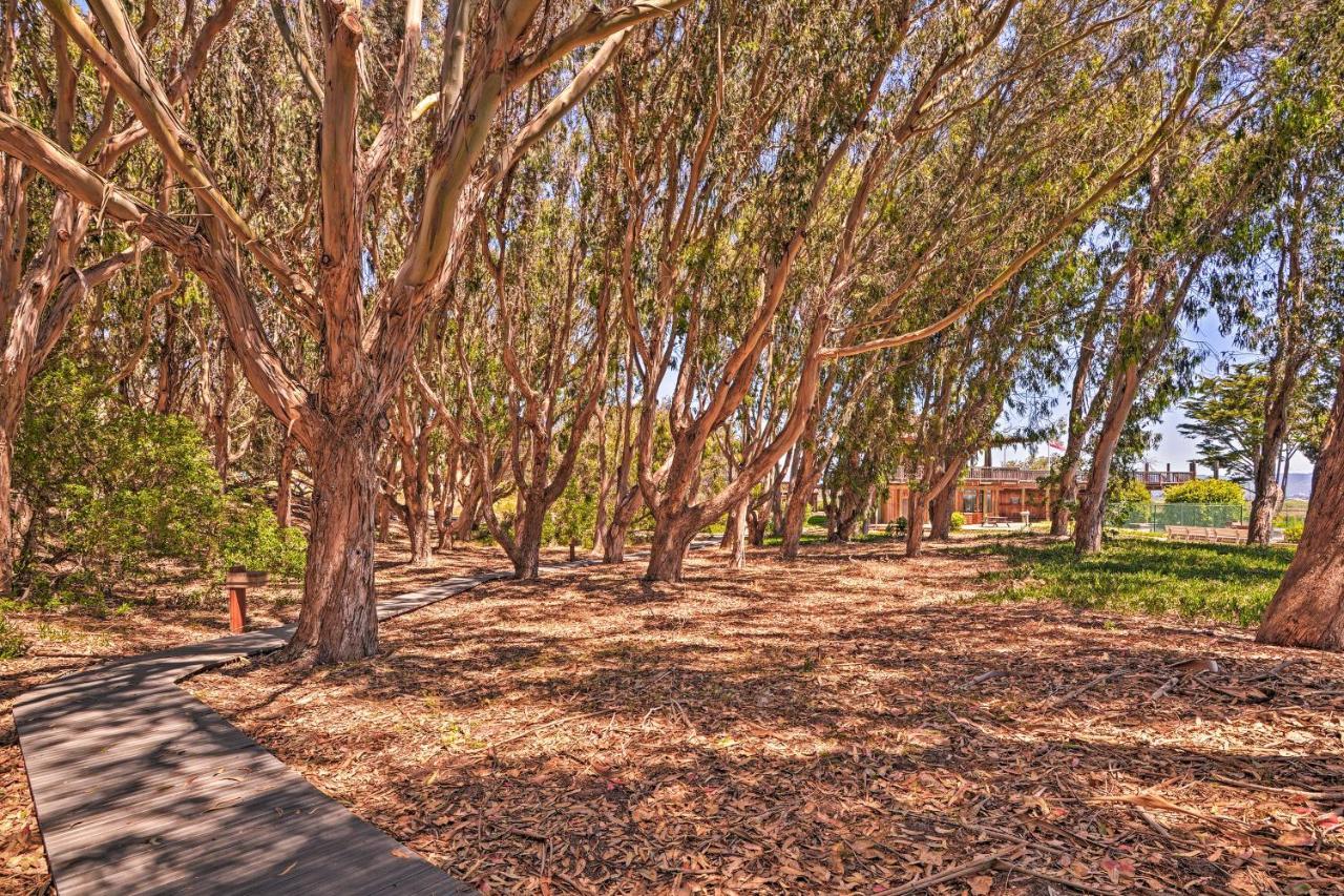 Beachfront Condo With Monterey Bay Views! Watsonville Exterior photo